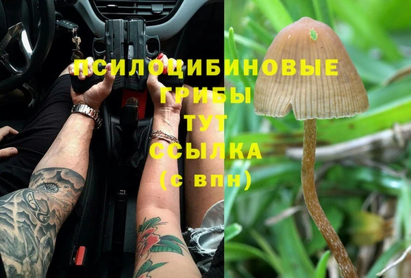 индика Верея