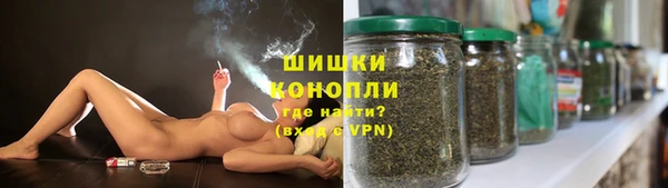 ALPHA PVP Бородино