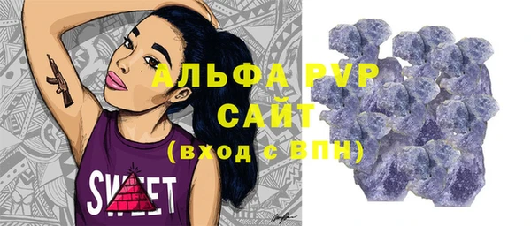 стаф Бикин