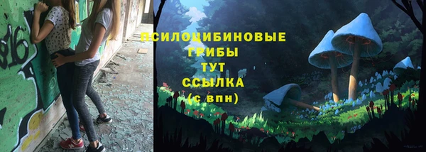 индика Верея