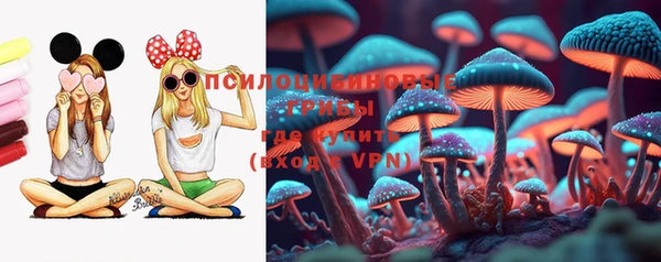 дмт Бронницы