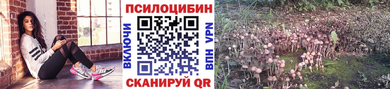 Галлюциногенные грибы GOLDEN TEACHER  Видное 